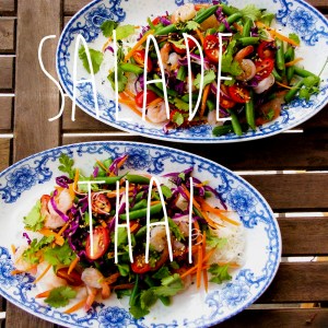Vivre pour manger salade_thai